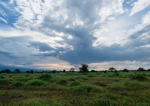 Kenia landscape