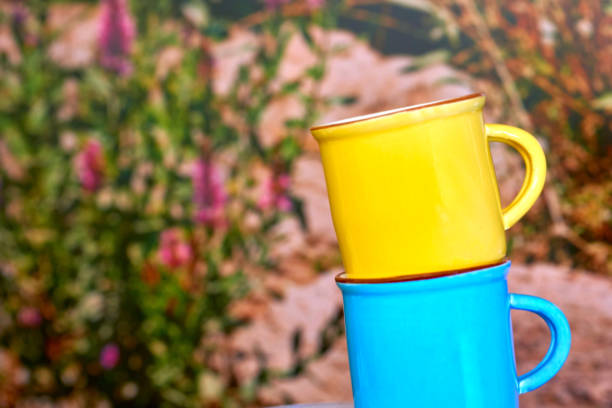 a small bowl-shaped container for drinking from, typically having a handle