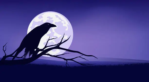 Vector illustration of vector halloween background of spooky black raven bird, full moon and bare tree branches