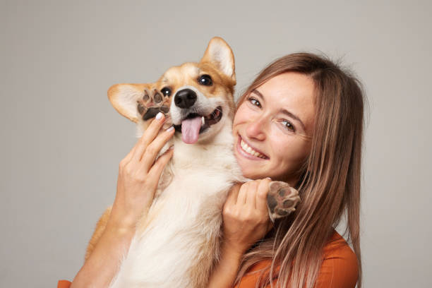 a brunette girl holds and hugs a red corgi dog on a clean light background, the concept of love for animals - pets embracing one person portrait - fotografias e filmes do acervo