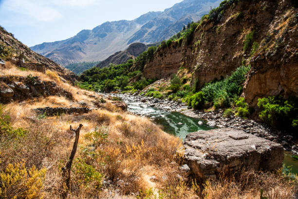 istock 2023 8 16 Peru canyon del Colca 25 1997210930