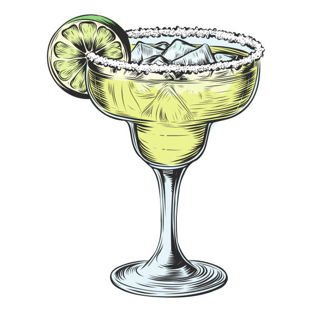 Margarita cocktail with slice lime, ice cube and salt on glass. Vintage hatching vector color illustration Isolated on white background. Engraving sketch style Margarita cocktail with slice lime, ice cube and salt on glass. Vintage hatching vector color illustration Isolated on white background. Engraving sketch style Gin stock illustrations