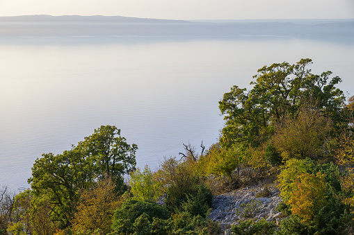 Trees and bushes in the evening on the island of Cres (Croatia) in autumn