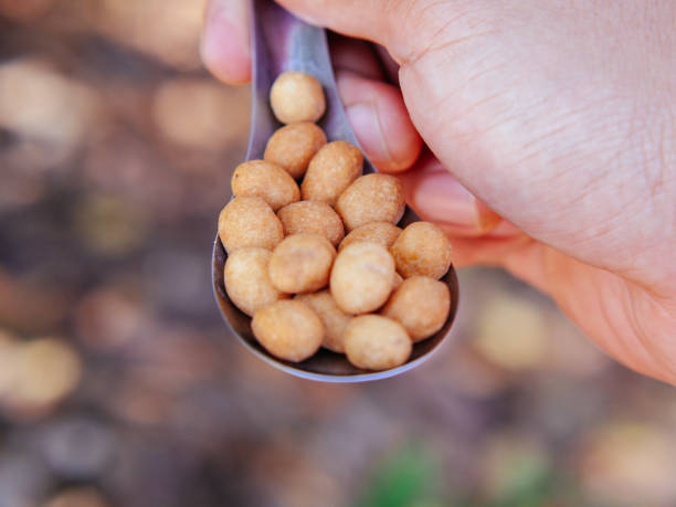 thai sweet peanut snack