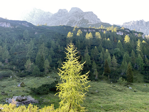 Mount Antelao. Venetian Dolomites. Province of Belluno, Italy.
