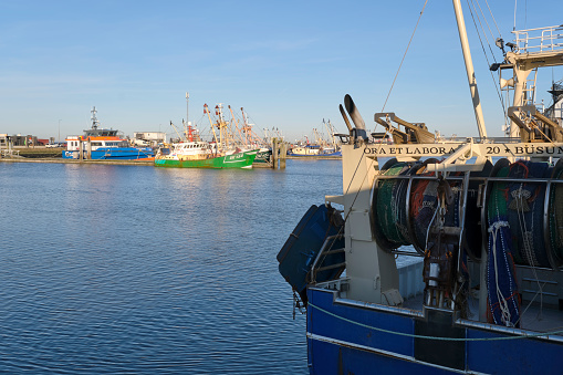 Fishing ships docked in the harbour of Lauwersoog Groningen The Netherlands in winter under a blue sky