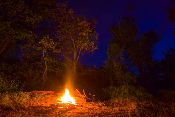 istock touristic camp fire on forest glade at the night, summer camping  scene 1997294071