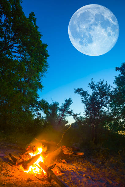 istock touristic camp fire on forest glade at the night with huge moon on sky, summer camping  scene 1997300495