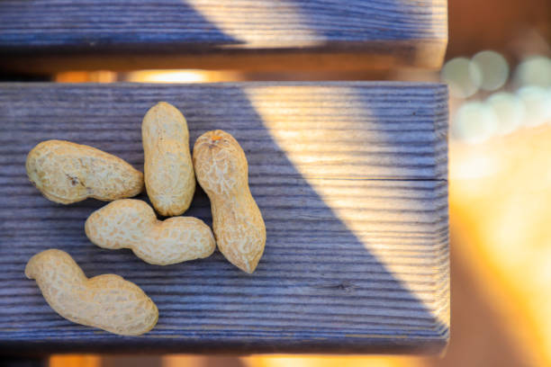 A pile of peanuts arranged on a rustic wooden bench
