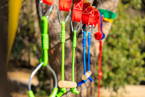 A set of colorful ropes hanging from a tree for children's games