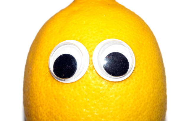 istock Silly Food Lemon Fruit with Goggly Wobbly Eyes on them 1997333685