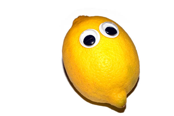 istock Silly Food Lemon Fruit with Goggly Wobbly Eyes on them 1997333688