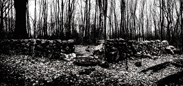 Black and white winter forest landscape of New England in America, with stone walls, bare trees, and fallen foliage on the footpath