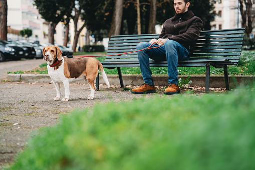 A pet owner is sitting on a bench in the city with his dog. They are spending time together in the city.