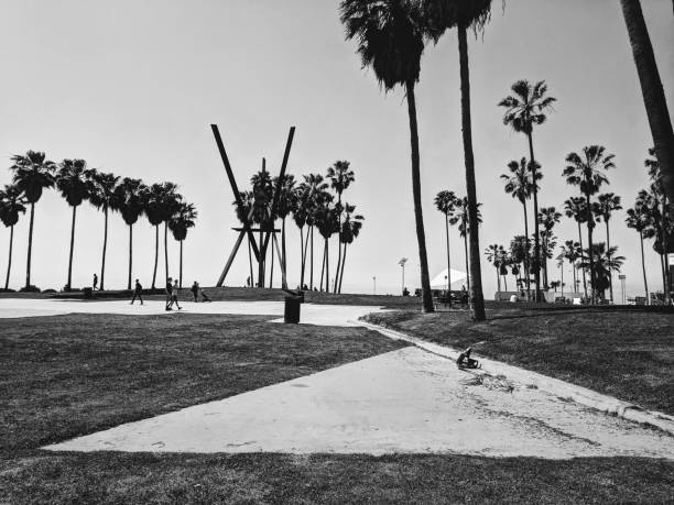 istock Grayscale of Venice Beach in California 1997453705