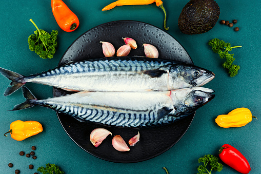 Two fresh mackerels or scomber and ingredients for cooking. Raw fish