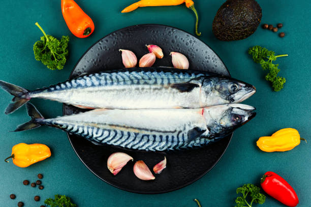 Raw mackerel fish, fresh seafood. stock photo