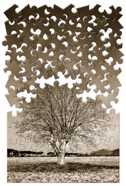 istock Isolated tree in a rural scene - environmental conservation concept image in jigsaw puzzle shape 1997504013