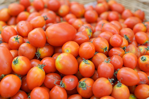 A close-up of a large pile of bright red ripe tomatoes, with a focus on their fresh, juicy quality and vibrant color, ready for culinary use