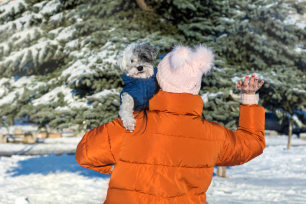 Woman hugging her havanese dog in the winter forest
