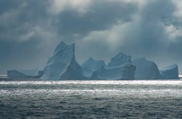 Photo of Elephant Island, Antarctica