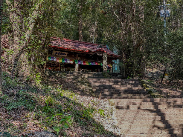 istock a small building in the middle of a forest next to a road 1997586188