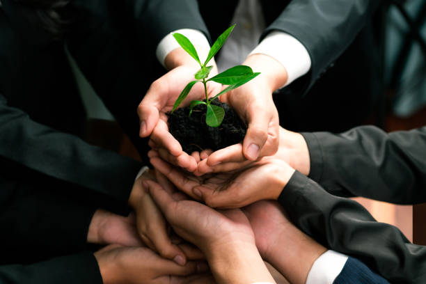 istock Eco-friendly business investment on forest regeneration. Quaint 1997597321