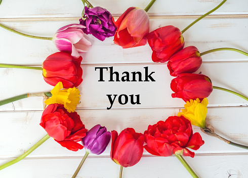 Thank you  Card with Red  Tulips on White Wooden Background