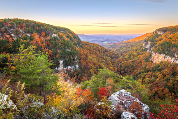 istock Cloudland Canyon, Georgia, USA 1997643802