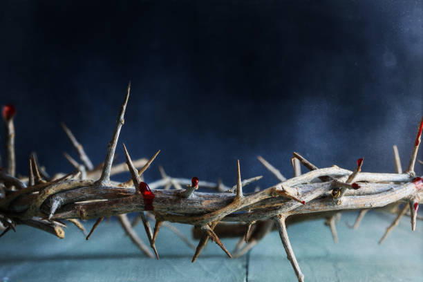 Dark moody Christian crown of thorns like Jesus Christ wore with blood drops stock photo