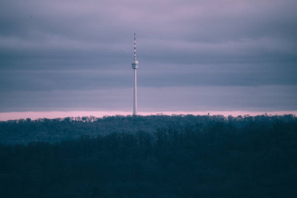 Tall tower standing amidst forest trees on a cloudy day