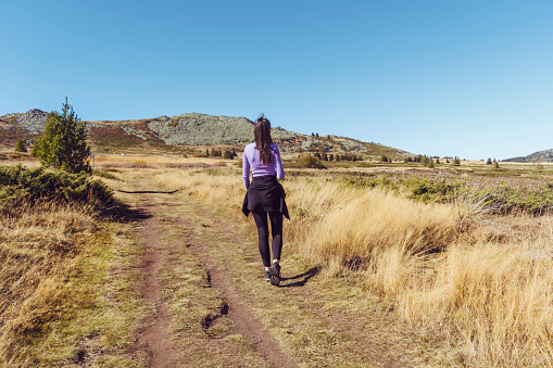 Young Woman hiking  in the autumn  mountain .Vitosha  Mountain , Bulgaria