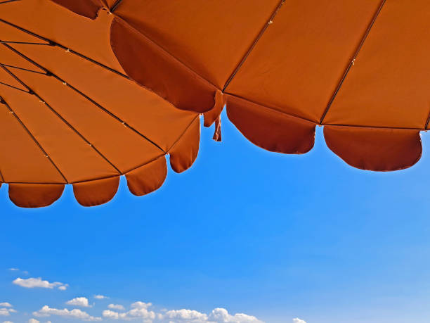 istock Beach umbrellas against the sky 1997679268