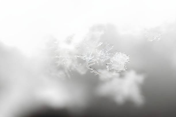 Photos with Snow texture with snowflakes and ice crystals from a close distance, macro photography, detailed image with a certain depth of field