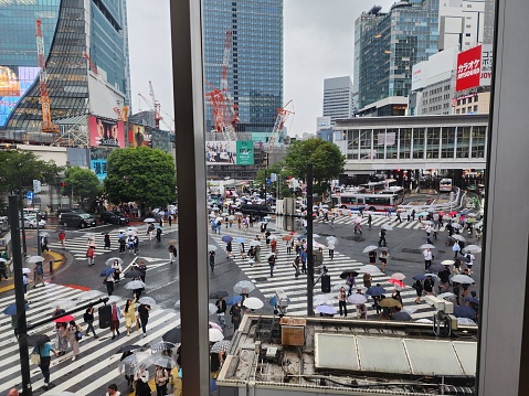 The picture depicts a busy urban intersection with multiple crosswalks where pedestrians are walking in various directions. Many of them are carrying umbrellas, suggesting that it might be raining. Surrounding the intersection are tall buildings with visible advertisements, indicative of a commercial area. There is ongoing construction with cranes in the background, which signifies development. Vehicles are visible on the roads, waiting at the traffic signal. The scene is observed from an elevated perspective, looking down onto the street.