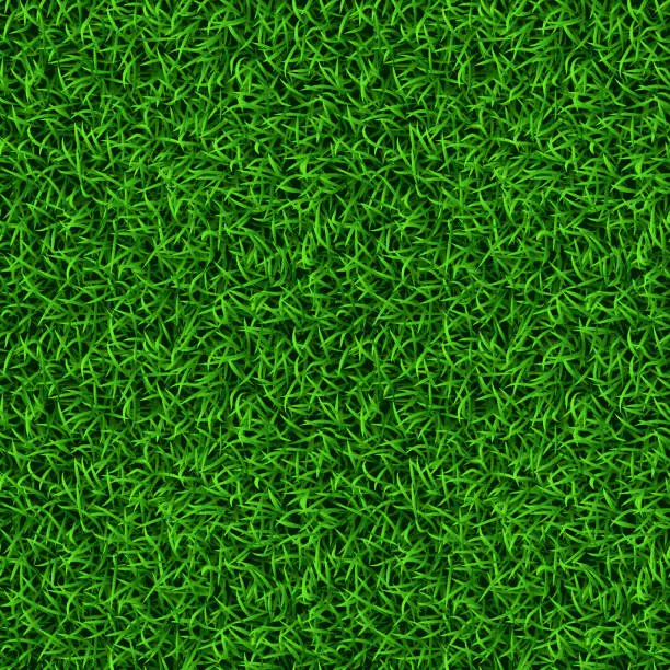 Vector illustration of Vector realistic green grass lawn seamless pattern, texture tile