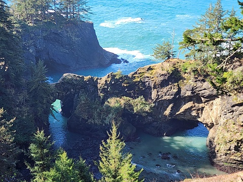 The picture shows a natural landscape with a view of the rocky coastline with a rugged terrain. There are large rock formations with a natural arch bridge formed by the erosion of the sea. The ocean is visible in the background with shades of blue indicating the presence of water. The foreground features greenery with a variety of trees suggesting a forested area. The sun appears bright, indicating either a clear day or a break in the foliage allowing sunlight to stream in. The overall scene is serene, picturesque, and indicative of a coastal region, possibly a nature reserve or park.
