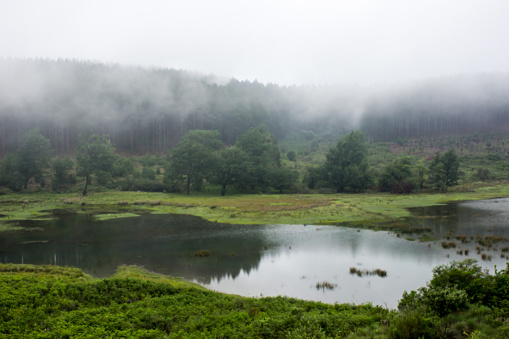 Early cold morning over a small lake in Magoebaskloof in South Africa, with the mountains in the background shrouded in mist.