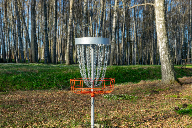 istock a disc golf hole on green grass with birch grove in background, disc golf basket in a park 1997756866