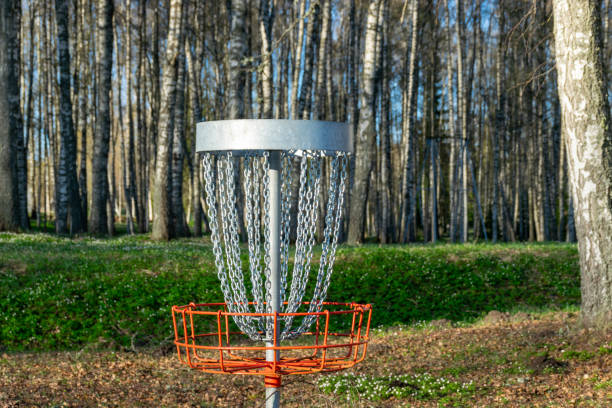 istock a disc golf hole on green grass with birch grove in background, disc golf basket in a park 1997757393