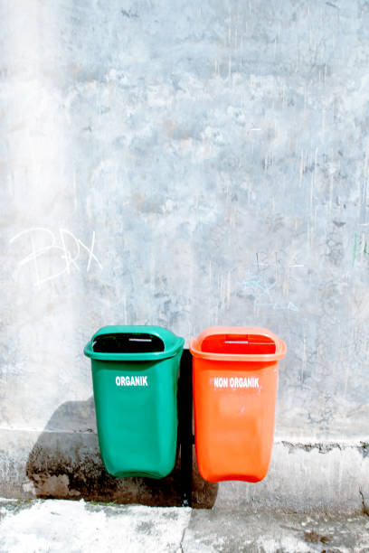 istock organic and non-organic waste bins 1997778962