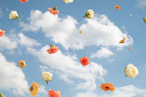 Spring flowers flying among the clouds in the sky.