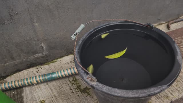 The whirlpool created in the black bucket