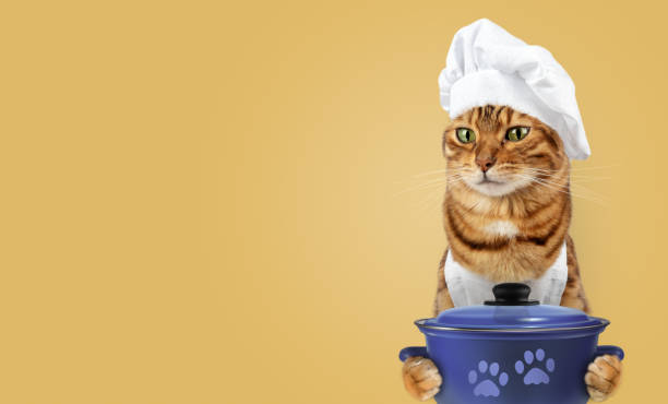 istock Funny cat - a cook with a pan in his paws 1997900540