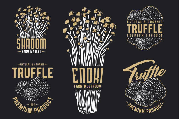 zestaw trufli grzybowych z ekologicznym, naturalnym jedzeniem wegetariańskim. jesienna kolekcja leśna z grzybami, grzybobranie grzybów na nadruk koszulki - grzybobranie stock illustrations