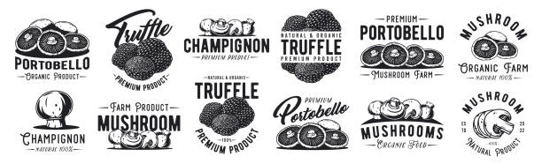 zestaw trufli grzybowej i portobello z ekologicznym, naturalnym jedzeniem wegetariańskim. kolekcja pieczarek. grzyby, grzybobranie, grzybobranie - grzybobranie stock illustrations