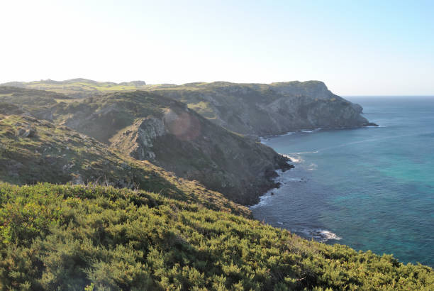 istock The Nurra coast, between Cala Rio Flumini and Cala Lampianu 1997926117