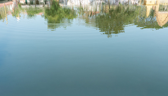 Serene Summer Waters A picturesque landscape capturing the reflection of trees in a calm and clear blue lake, surrounded by lush greenery, under a vibrant summer sky