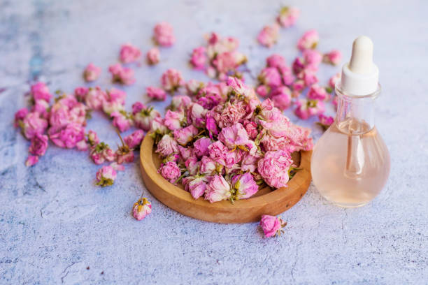 istock Rose flowers  essential oil 1997960306