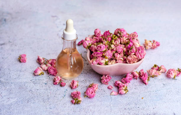 istock Rose flowers  essential oil 1997960841